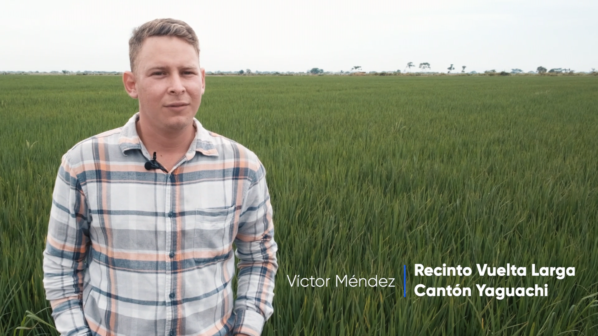  Divixton - Víctor Méndez.